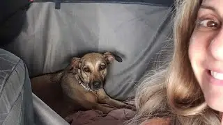 A família aumentou! Vlog da chegada da nova integrante - Página da kika
