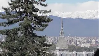 Amo gli alberi di Torino