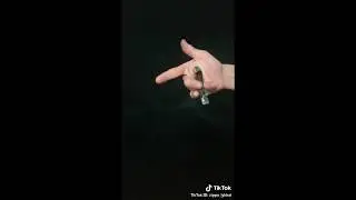 Zippo