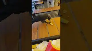 Постійні клієнти