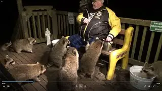 Buddy, Woody Scooter, Bandit, Sammy and more friends.