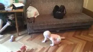 Прятки