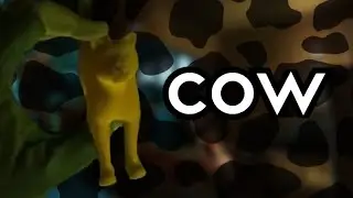 The Adventures of 