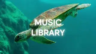 Emberlyn - Serenity (Music Library - NoCopyrightMusic)