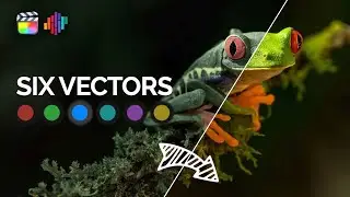 Exploring Six Vectors - Color Finale 2 Essential