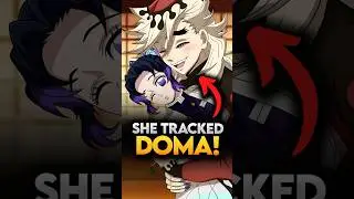 How Each Demon Slayer Found Perfect Demon During Infinity Castle Arc? Demon Slayer 