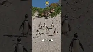 Penguin Evolution: Surprising Origins Revealed | The Animal Explorer #shorts