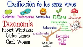 🌿5 Kingdoms and 3 Domains of Life🐠 | Classification of Living Beings | [Easy and Quick] | BIOLOGY |