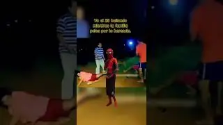 #ferpalacio #bailando #feliz #familia #herencia #feliznavidad