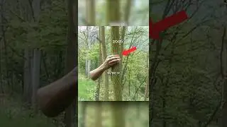 💀 The hand at the end…
