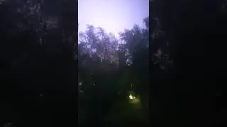 5 июля 2024 г.