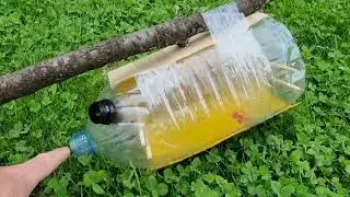Прилетел рой пчёл и началось. Роение пчёл