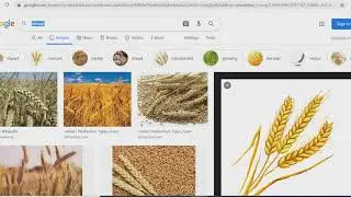 How to prepare Powerpoint (ppt) Research/article presentation