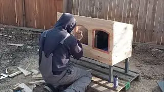 chicken nest for free range