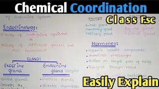 Chemical Coordination | Endocrine System | Hormones | Glands | Class 11 Biology