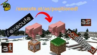 Execute AT, AS, and POSITIONED! | Mules Gaming