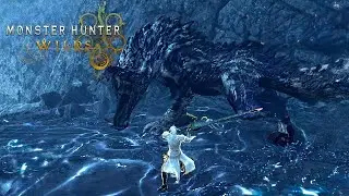 Guardian Ebony Odogaron No Damage - Monster Hunter Wilds