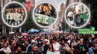 MARCHA DA MACONHA 2023 - SÃO PAULO