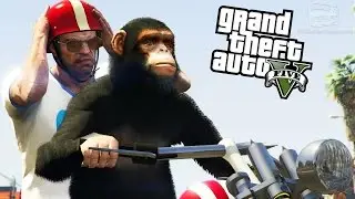 GTA 5 PC - Single Player Co-op [Mod Showcase]