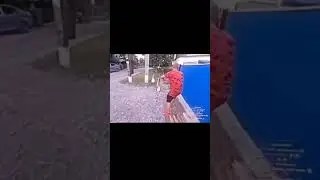 дивись, собака тікає