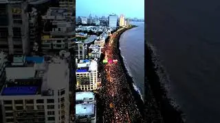 Fan's Welcome Our Champions 🏆 #indiacricketteam #viratkohli #rohitsharma #t20worldcup #viral #shorts