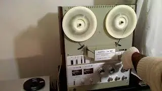 Снежеть 110