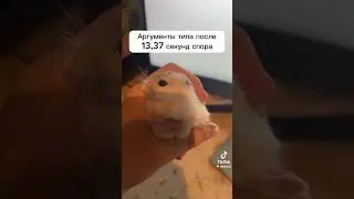 мем#мем#мемасики #мемы#мемас #мемасик#ржака #ржакадослез#прикол #смехота#смех #смехдослез#рек