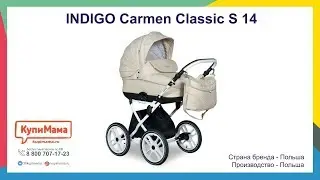Большой обзор коляски Indigo Carmen Classic S 14 | 2в1 и 3в1