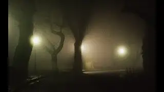 HVHSTAR HIGHLIGHTS