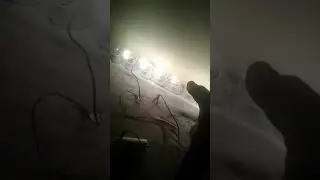 22 июля 2019 г.
