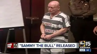 Sammy 