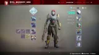 Destiny 2 Leveling up Titan.