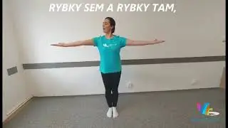 PLÁVA KAČKA PO JAZERE