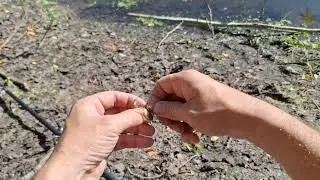 В поисках рыбы #рыбалка #fishing #рыба