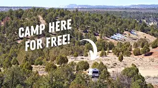 How To Camp For Free in the US | GUIDE FOR BEGINNERS