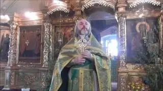 Проповедь на Святую Троицу