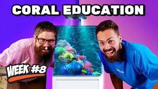 12 Week Reef | Video 8. Coral Marathon Feat. Shane Danger