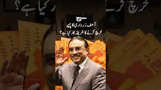 آصف زرداری کا پیسے خرچ کرنے کا طریقہ کار کیا ہے؟