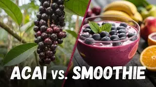 What Makes Acai Berries So Special?