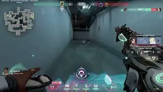 fake phoenix