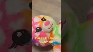 Happy 1st day of summer!! #stuffedanimals #plushchannel #plushies #buildabearworkshop #toys