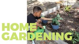 Home Gardening Part 2