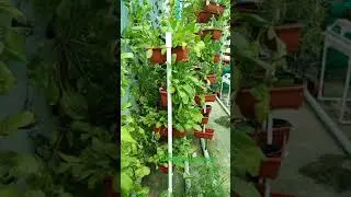 @hydrofarmer, Hyderabad