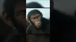 KINGDOM OF THE PLANET OF THE APES is a Conventional But Strong Adventure