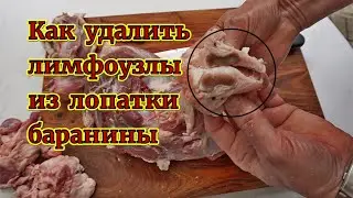 How to remove lymph nodes from a lamb shoulder.