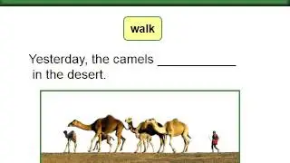 Fundamentals of English Grammar Chapter 2 Review