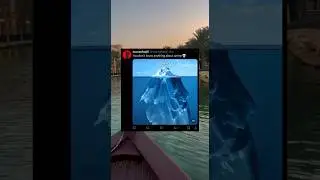Anime 😂