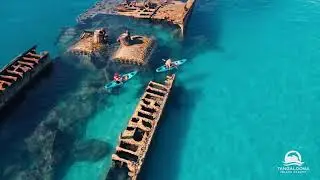 Top Must Do Experiences at Moreton Island, Queensland | Play Travel