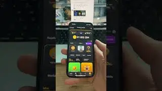Новые КОМБО КАРТЫ в Хамстер Комбат 16 Июня! КАК ПОЛУЧИТЬ 5 МИЛЛИОНОВ МОНЕТ НА БАЛАНС HAMSTER KOMBAT!