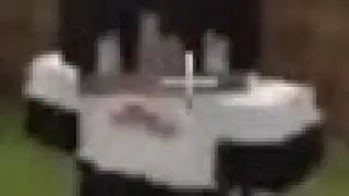 видео ради телеги